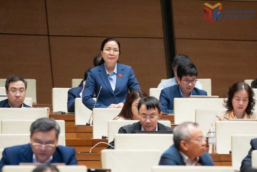 Kỳ họp thứ 10, Quốc hội khóa XV: ĐBQH tỉnh cho ý kiến đối với chủ trương đầu tư chương trình mục tiêu quốc gia