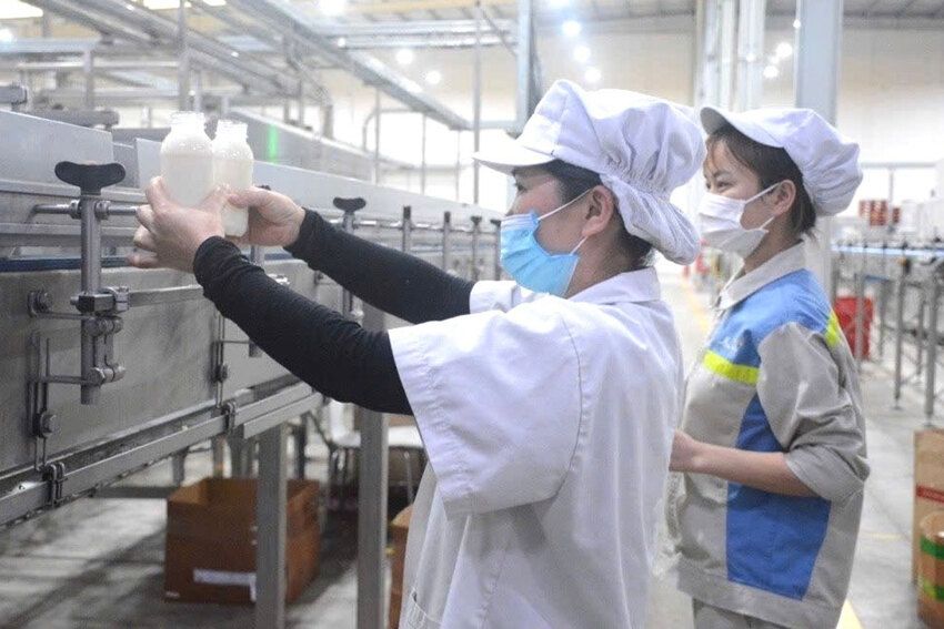 Động lực và đột phá mới từ góp ý cho định hướng phát triển đất nước