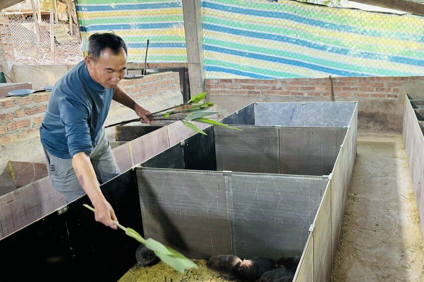 Lan tỏa học và làm theo Bác