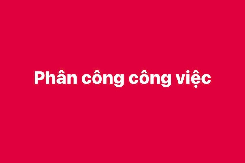 Cử giúp việc Lãnh đạo Văn phòng Chính phủ