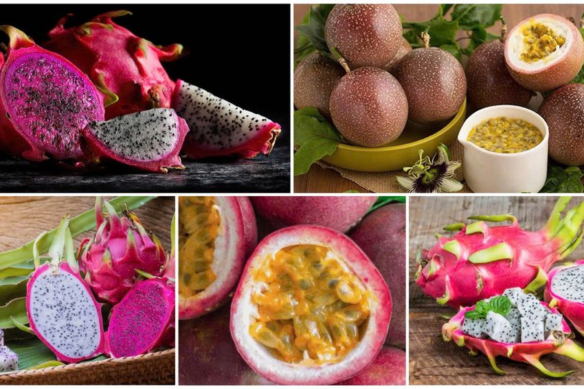 Chanh leo và thanh long Việt Nam đối diện nguy cơ bị EU siết chặt kiểm soát