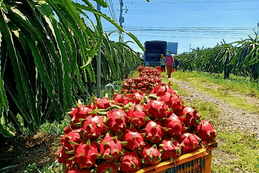 Điểm báo ngành Công Thương ngày 23/3/2026