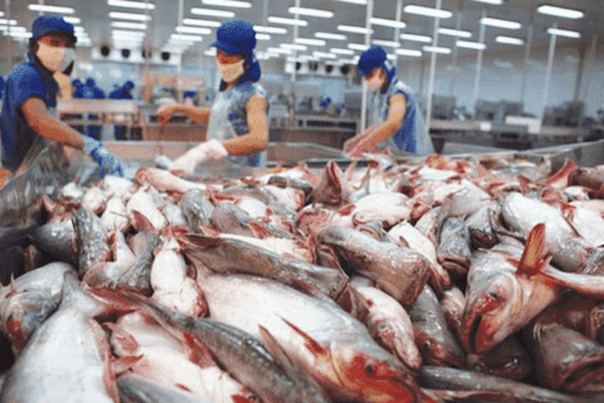 Quy định xuất xứ hàng xuất khẩu sang Vương quốc Anh theo CPTPP