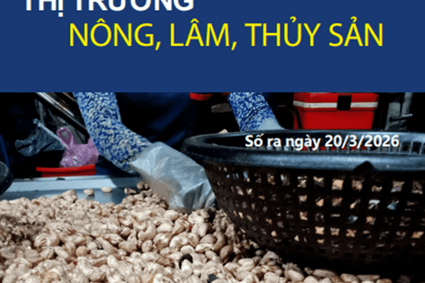 Bản tin Thị trường nông, lâm, thủy sản số ra ngày 20/3/2026