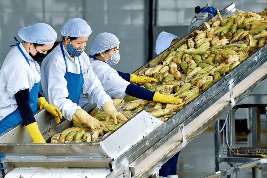 Khi xuất xứ quyết định sức cạnh tranh của hàng Việt