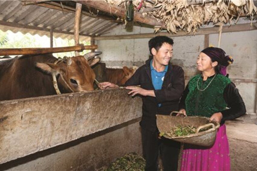 Đổi thay trên vùng đất khó