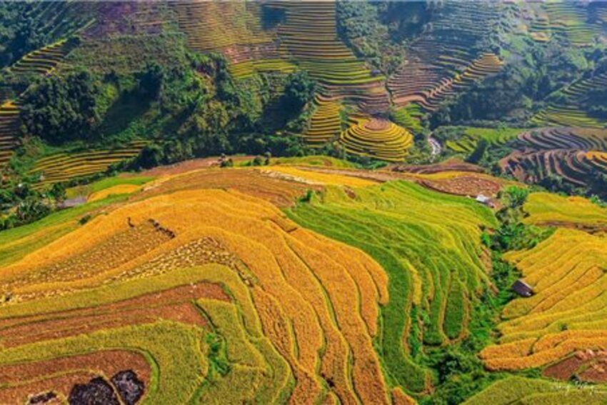 Khẩn trương hoàn thiện hồ sơ Báo cáo đề xuất chủ trương đầu tư Chương trình MTQG