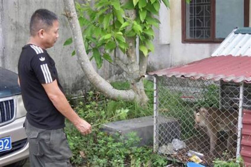 Triển khai kế hoạch tăng cường tuyên truyền, xử lý vi phạm về bảo vệ động vật hoang dã và nguồn lợi thủy sản trên địa bàn thành phố