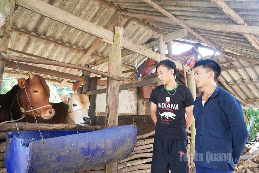 Hai Bí thư Chi bộ xuất sắc được đề nghị Trung ương tuyên dương