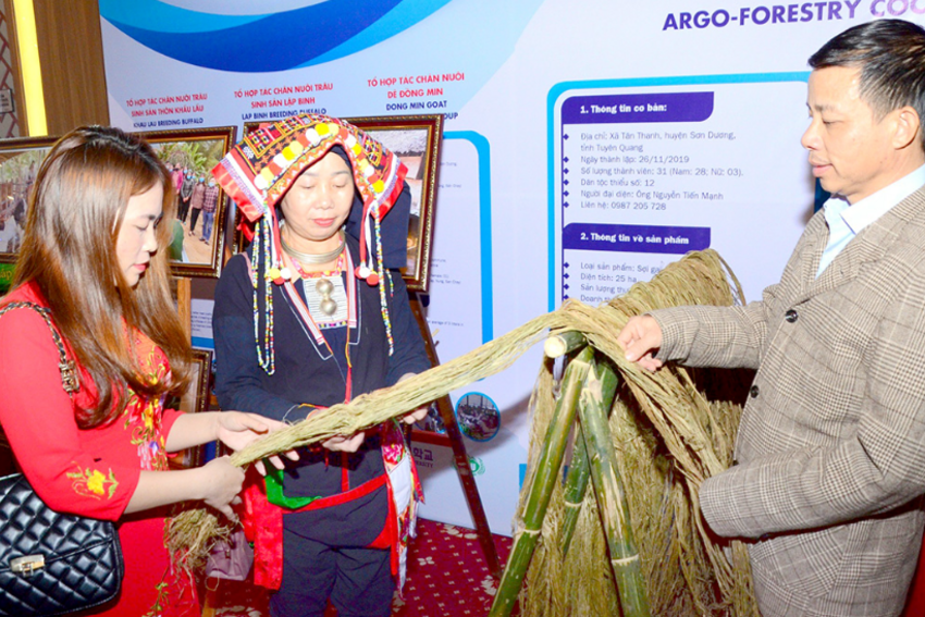 Tăng cường thu hút và quản lý hiệu quả lao động nước ngoài