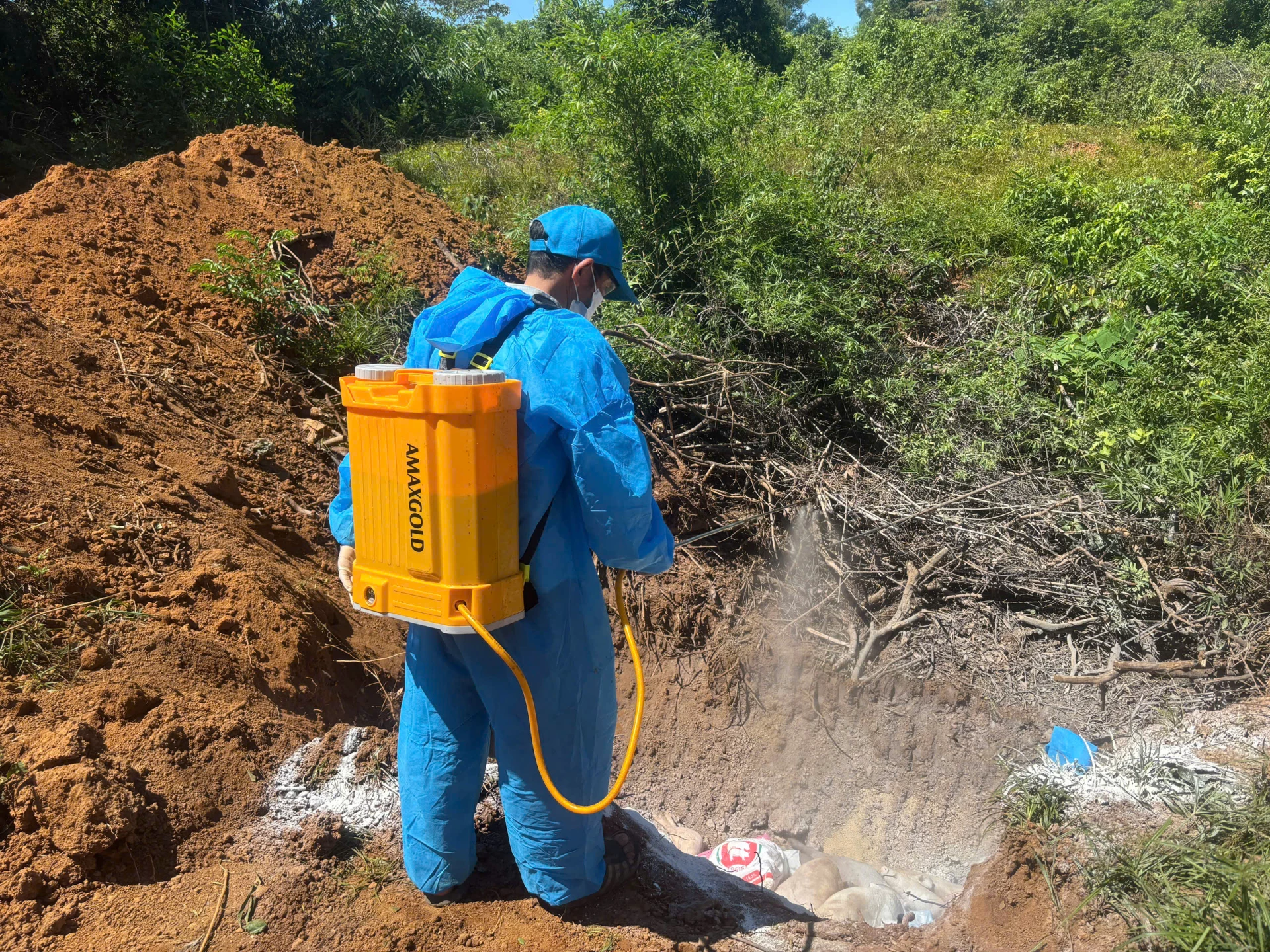 Tuyên Quang triển khai Nghị quyết hỗ trợ khắc phục dịch bệnh động vật, ổn định sản xuất và đời sống người dân