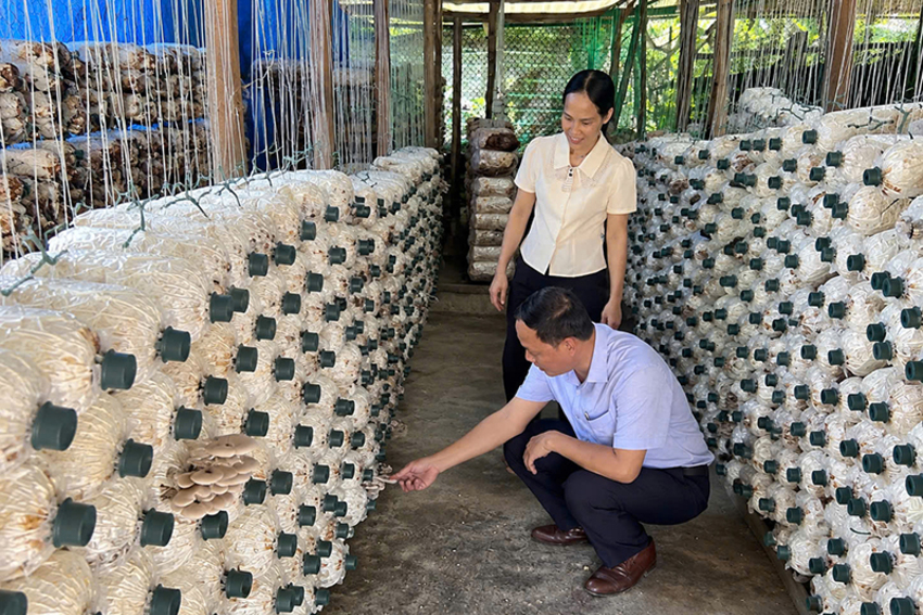 Phát huy vai trò cấp ủy cơ sở trong giảm nghèo bền vững