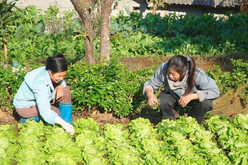 Nêu gương xây dựng gia đình văn hóa