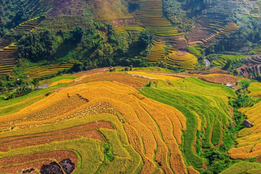 Khẩn trương hoàn thiện hồ sơ Báo cáo đề xuất chủ trương đầu tư Chương trình MTQG