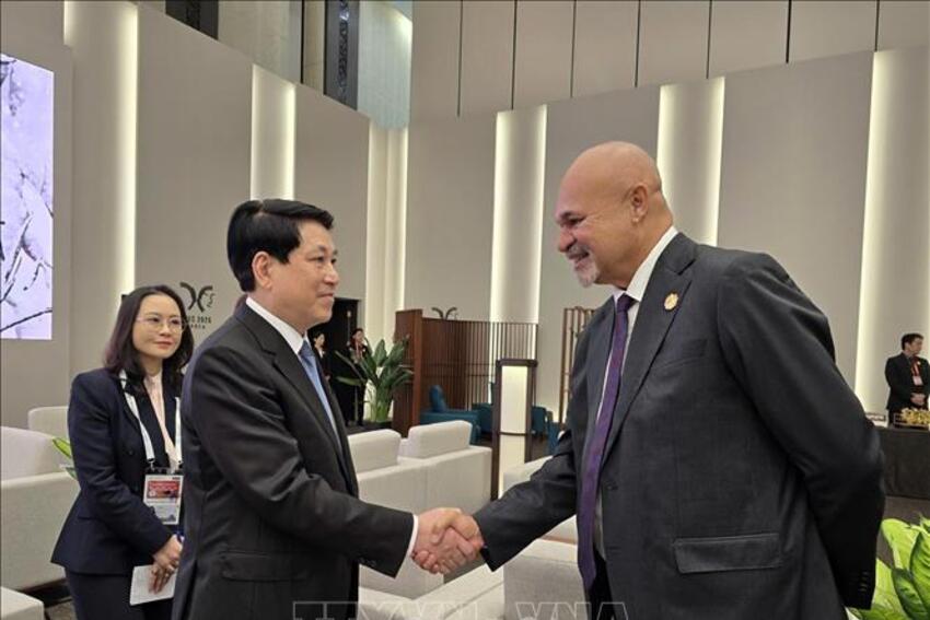 Tuần lễ Cấp cao APEC 2025: Chủ tịch nước Lương Cường gặp lãnh đạo một số thành viên APEC