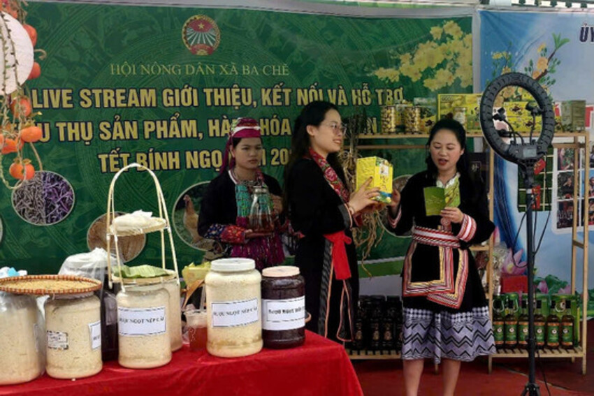 Nông dân dạy nông dân chuyển đổi số