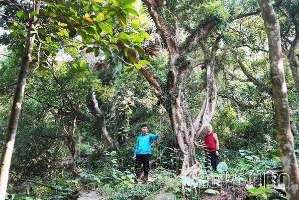 Làm theo Bác bằng cả tấm lòng