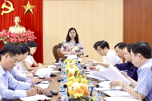 Giám sát việc lãnh đạo, chỉ đạo và tổ chức thực hiện Chỉ thị 46 của Bộ Chính trị tại Đảng uỷ xã Sông Lô