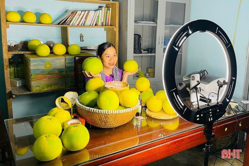 Mở rộng thị trường bưởi Phúc Trạch qua nền tảng số