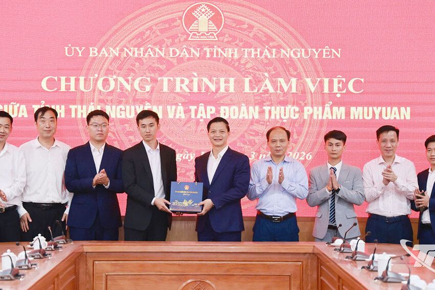 Tập đoàn Muyuan Foods nghiên cứu triển khai dự án chăn nuôi công nghệ cao tại Thái Nguyên