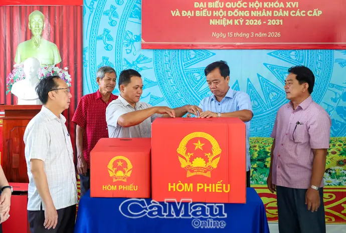 Công bố kết quả bầu cử đại biểu Hội đồng nhân dân tỉnh Cà Mau khoá XI, nhiệm kỳ 2026-2031