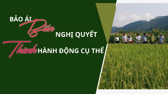 Bảo Ái: Biến nghị quyết thành hành động cụ thể