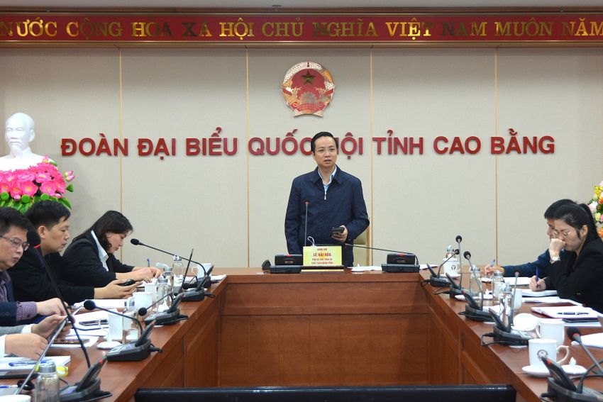 Chủ tịch UBND tỉnh Lê Hải Hòa làm việc với Công ty cổ phần Công nghệ số thông minh