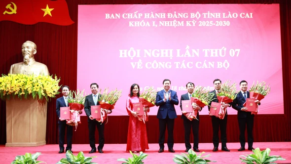 Lào Cai tổ chức Hội nghị Ban Chấp hành Đảng bộ tỉnh lần thứ 7 thực hiện quy trình công tác cán bộ