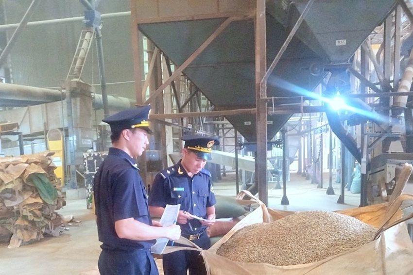 Đảng ủy Chi cục Hải quan khu vực XIV phối hợp chỉ đạo tăng cường hỗ trợ doanh phát triển bền vững