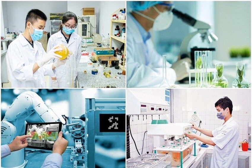 Kết luận của Bộ Chính trị về một số giải pháp đột phá trong tuyển dụng, bố trí, sử dụng, đãi ngộ cán bộ