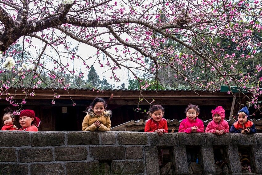 Chỉ thị của Ban Bí thư về việc tổ chức Tết Bính Ngọ năm 2026