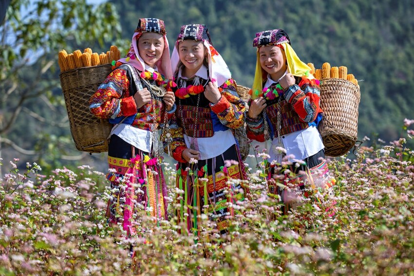 Đề xuất nghỉ Ngày Văn hóa Việt Nam 01 ngày, không hoán đổi ngày làm việc