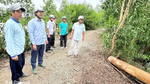 Ô Lâm ra sức bảo vệ 3.577ha đất nông nghiệp trước nguy cơ ngập úng