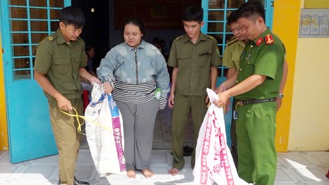 Người dân Tây Phú giao nộp hai cá thể rồng Nam Mỹ