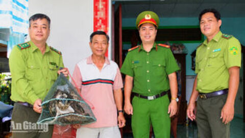 Người dân phường Hà Tiên bàn giao cá thể chim Ó Cá quý hiếm 