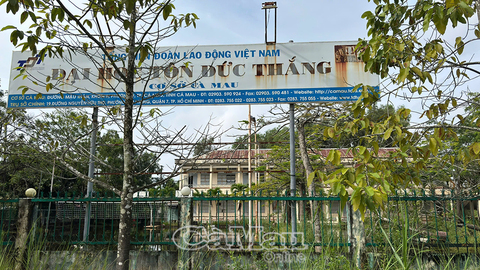 Cà Mau: 72 cơ sở nhà, đất dôi dư đã hoàn thành xử lý, đưa vào khai thác