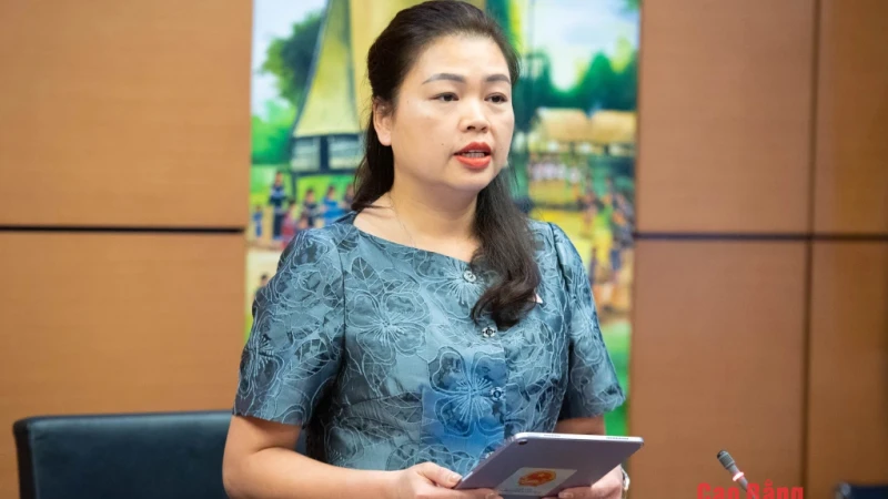 Đại biểu Quốc hội tỉnh góp ý dự án Luật Thực hiện dân chủ ở cơ sở (sửa đổi)