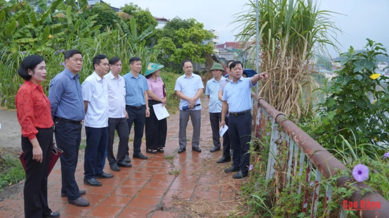 Thường trực HĐND tỉnh giám sát việc thu hồi đất tại 2 phường Thục Phán và Nùng Trí Cao