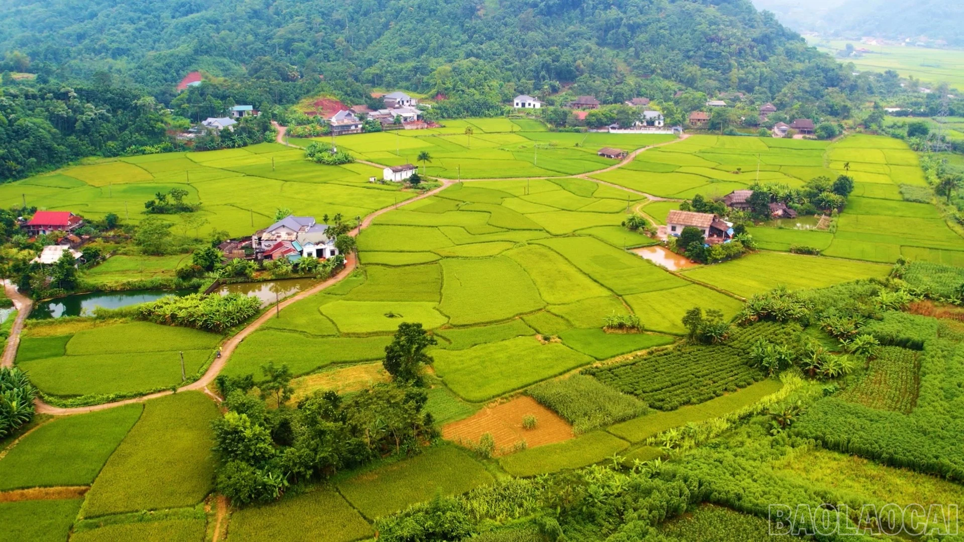 Thôn mạnh – xã vững