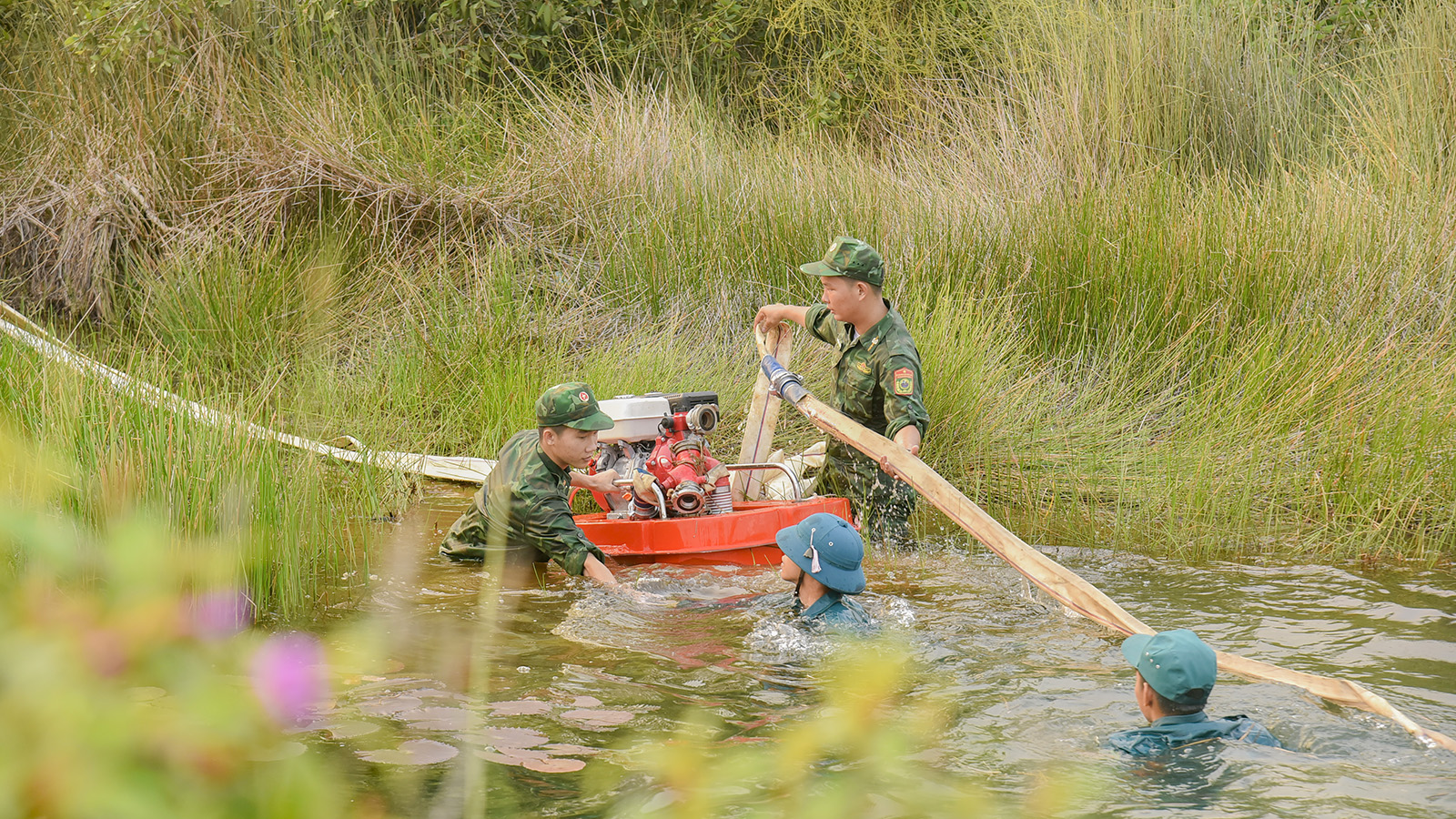 Xảy ra cháy tại Khu bảo tồn loài - sinh cảnh Phú Mỹ