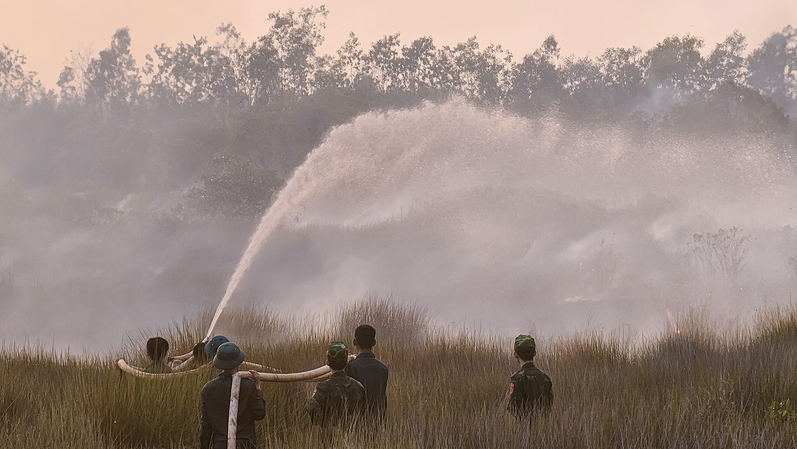 Xảy ra cháy tại Khu bảo tồn loài - sinh cảnh Phú Mỹ