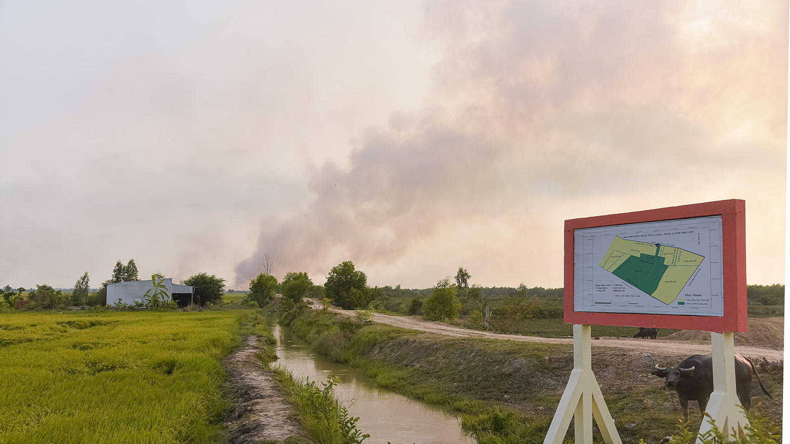 Xảy ra cháy tại Khu bảo tồn loài - sinh cảnh Phú Mỹ