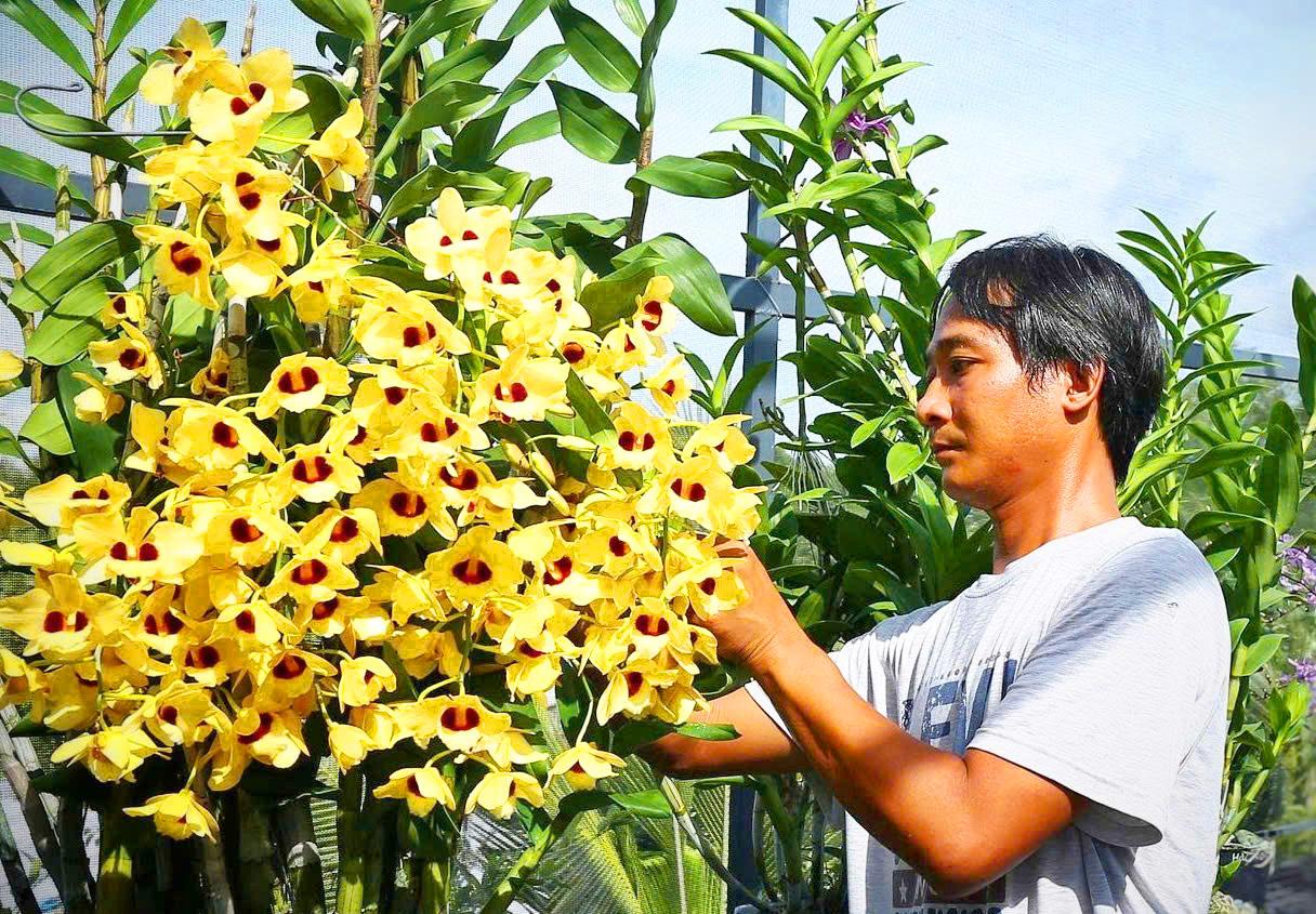 Nông dân Châu Phú tích cực xây dựng quê hương