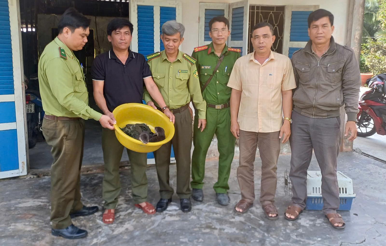 An Giang: Người dân tự nguyện giao nộp 4 cá thể rái cá quý hiếm