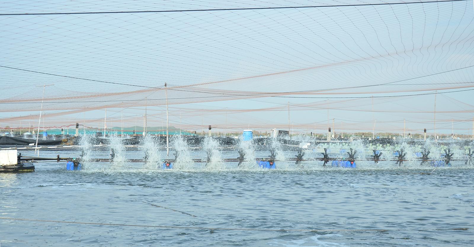 Phó Chủ tịch UBND tỉnh An Giang Ngô Công Thức thăm, chúc tết doanh nghiệp tại phường Tô Châu