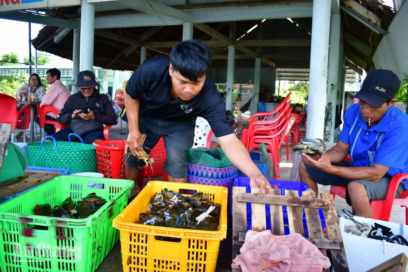 Cầu nối đưa sản vật biển vươn xa