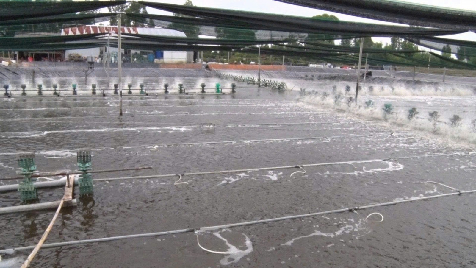 Đảng bộ xã Định Hòa thực hiện đạt và vượt 100% chỉ tiêu nghị quyết năm 2025