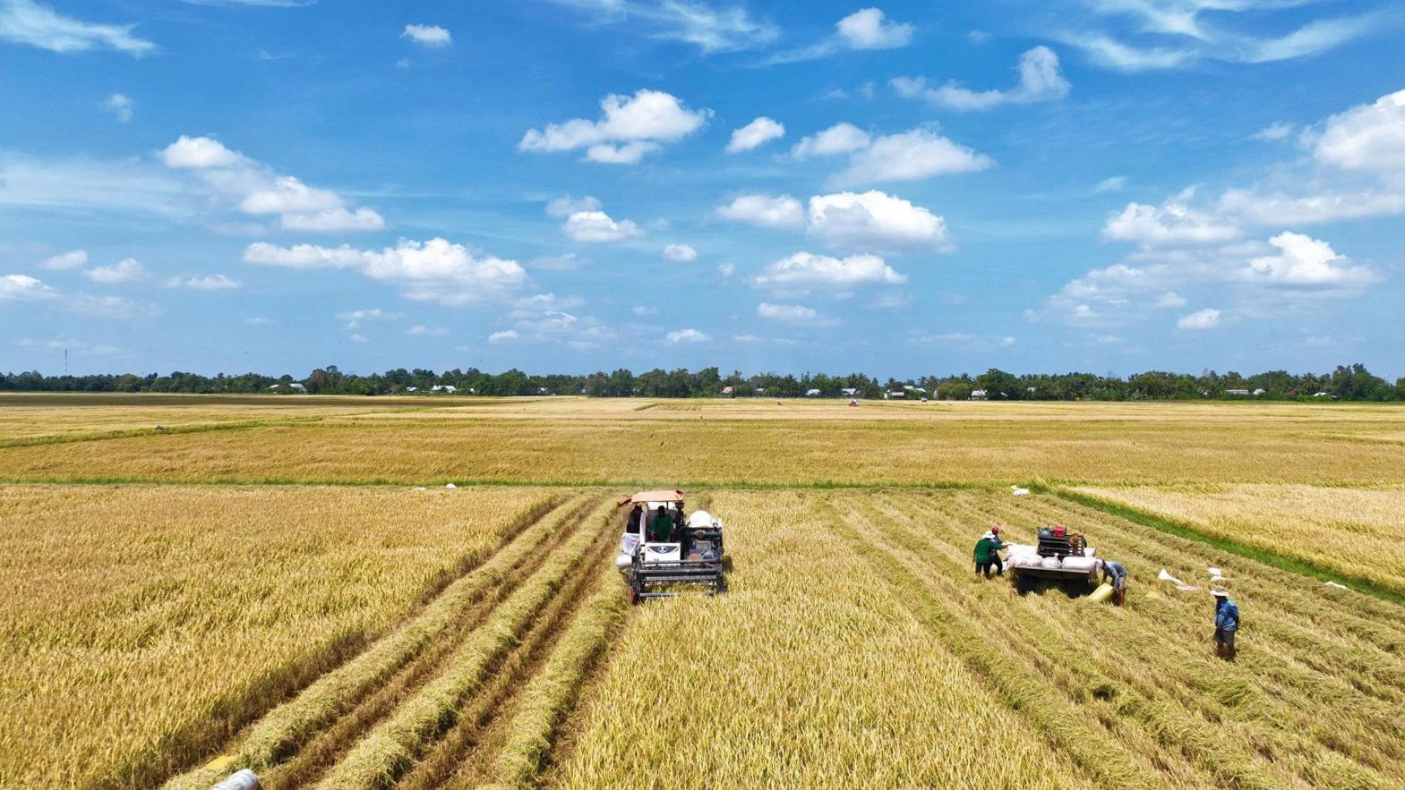 Đảng bộ xã Định Hòa thực hiện đạt và vượt 100% chỉ tiêu nghị quyết năm 2025