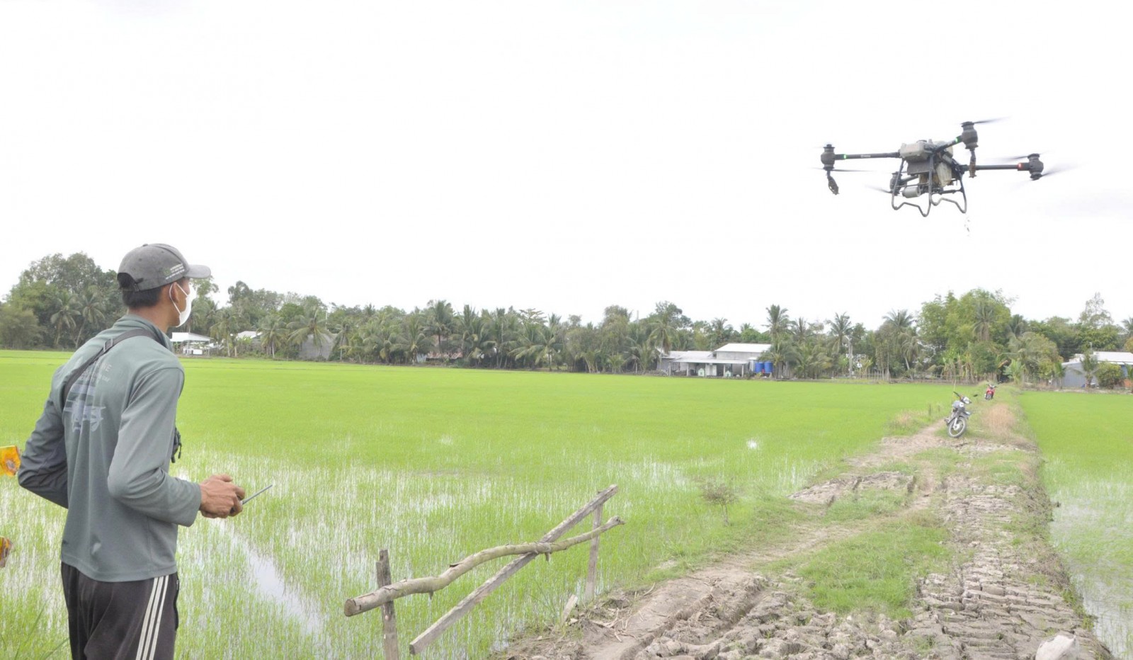 Phát triển nông nghiệp đa dạng