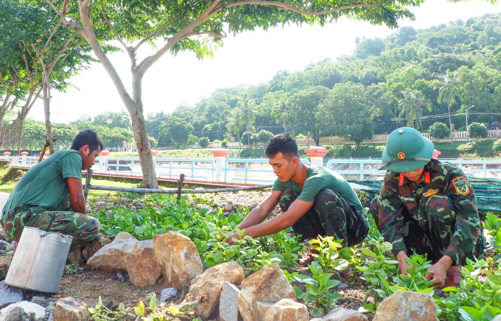Người lính học Bác từ những việc thiết thực